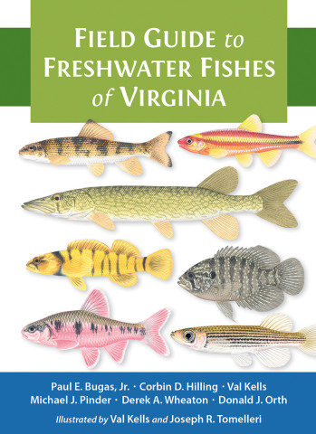 Cover image of Field Guide to Freshwater Fishes of Virginia