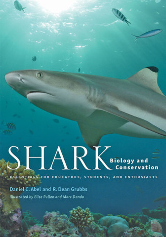 Cover image of Shark Biology and Conservation