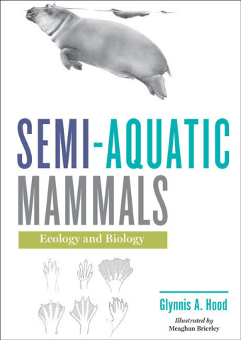 Cover image of Semi-aquatic Mammals