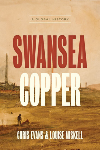 Cover image of Swansea Copper