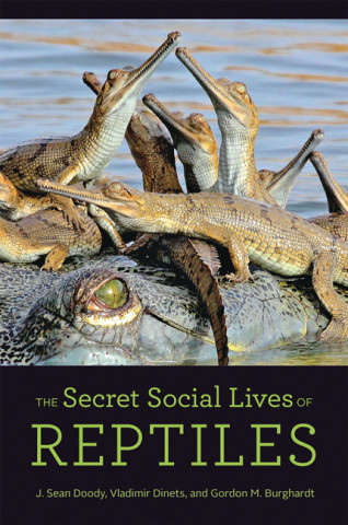 Cover image of The Secret Social Lives of Reptiles