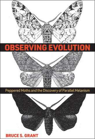 Cover image of Observing Evolution