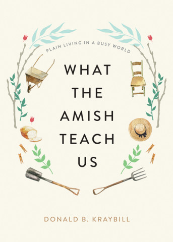 Cover image of What the Amish Teach Us