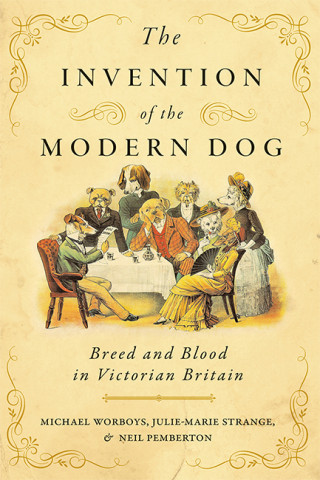 Cover image of The Invention of the Modern Dog