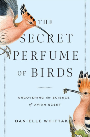 Cover image of The Secret Perfume of Birds