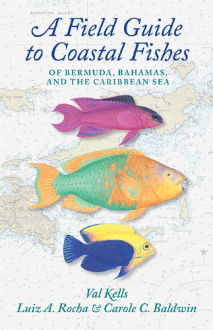 Cover image of A Field Guide to Coastal Fishes of Bermuda, Bahamas, and the Caribbean Sea