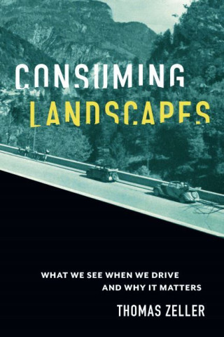 Cover image of Consuming Landscapes