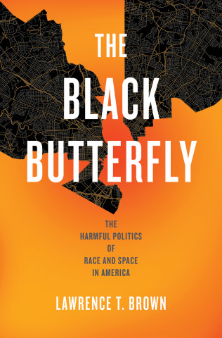 Cover image of The Black Butterfly