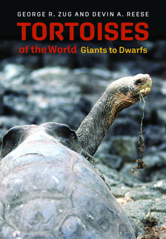 Cover image of Tortoises of the World