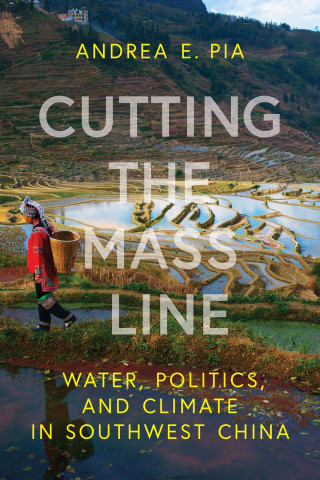 Cover image of Cutting the Mass Line