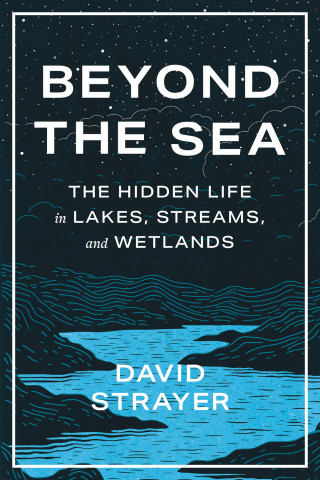 Cover image of Beyond the Sea