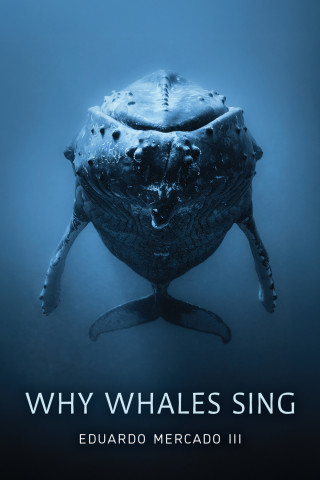 Cover image of Why Whales Sing