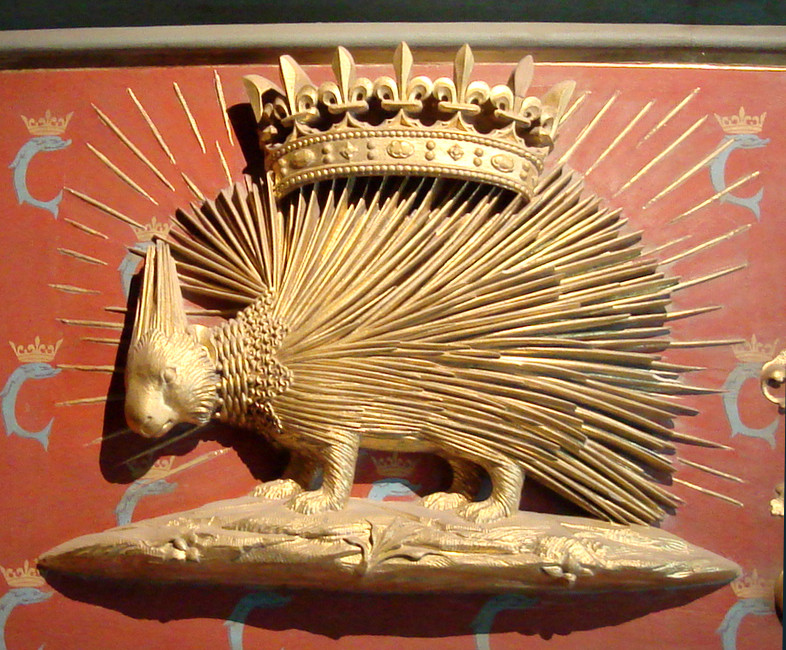 Wild Thing How do quills work? Hopkins Press