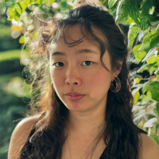 Lan A. Li