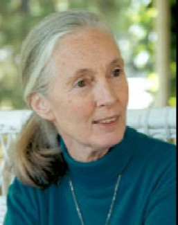 Jane Goodall