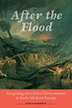 Cover image of After the Flood