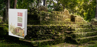 the book Chase and the Ruins on a background of an aztec ruin