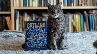 Gray cat posing next to the book Catland
