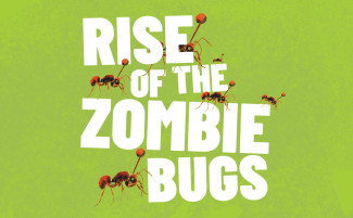 Rise of the Zombie Bugs