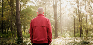 "A bald man in a red jacket stands facing away in a sunlit forest, surrounded by tall trees and greenery."