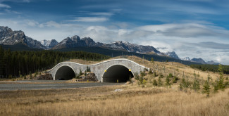 GettyImages-883151052.jpg