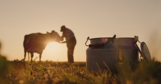 Mennonite%20Farmer%20within%20the%20blog.jpg