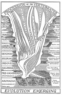 page_229-1_0.jpg