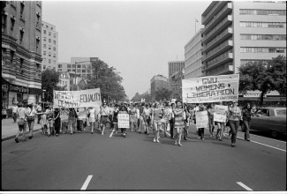womensrightsmarch.jpg