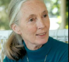 Jane Goodall