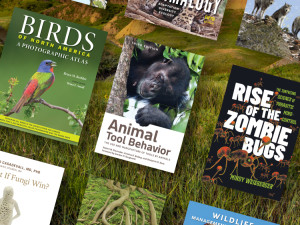 Life Science Books Sale Image